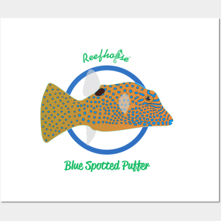 Blue Spotted Puffer Posters and Art